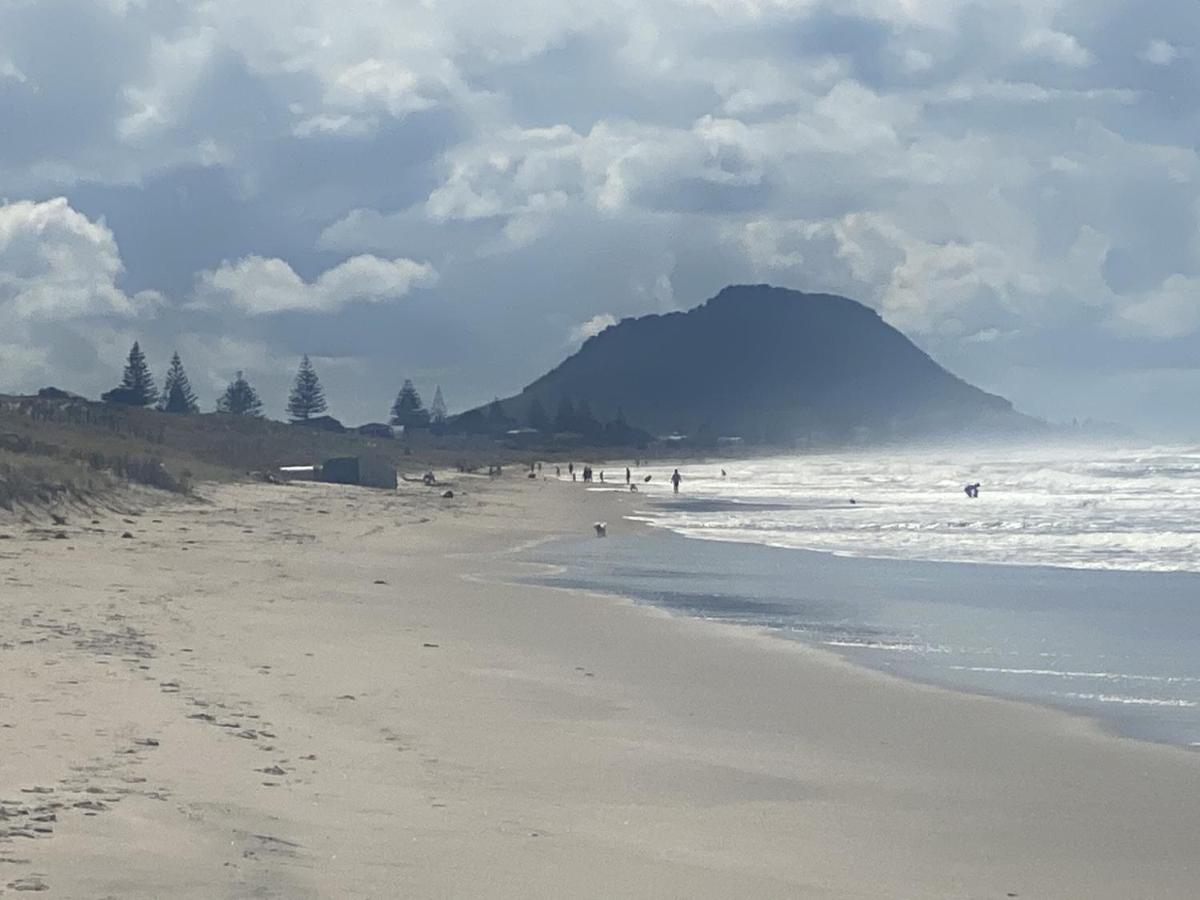 Superb Beachside Location, Private And Tranquil Apartment Mount Maunganui Luaran gambar